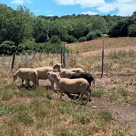 A Nyaraló Bouisse